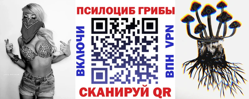KRAKEN зеркало  Нижний Ломов  Галлюциногенные грибы Magic Shrooms 