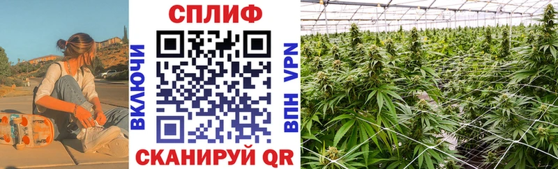Каннабис ГИДРОПОН  Нижний Ломов 